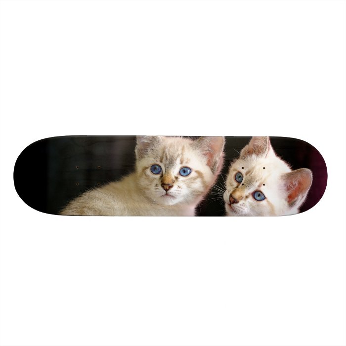 Two Mekong Bobtail Tabby Point Kittens Skate Decks