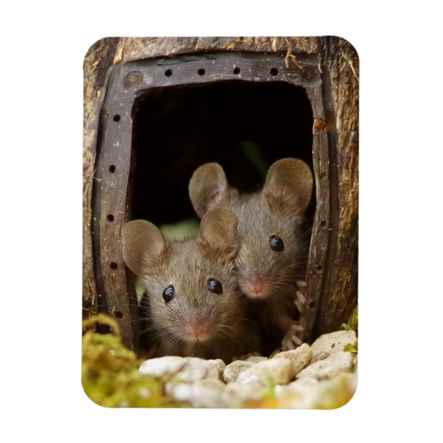 two mice at the door magnet (Vertical)