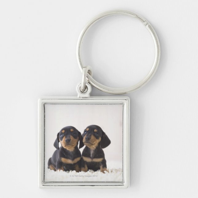Two Mini Dachshund Sitting Keychain (Front)