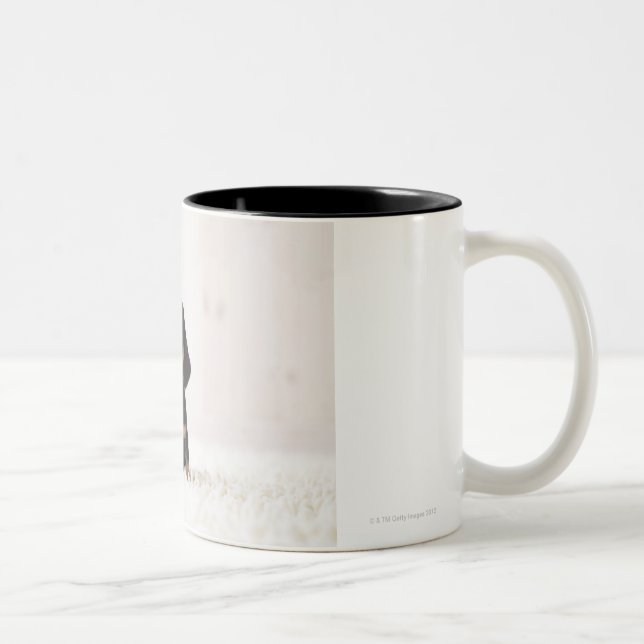 Two Mini Dachshund Sitting Two-Tone Coffee Mug (Right)