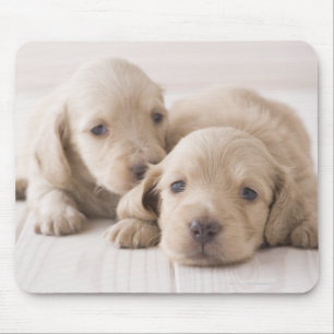 Two Miniature Dachshund Mouse Pad