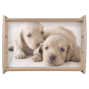 Two Miniature Dachshund Serving Tray