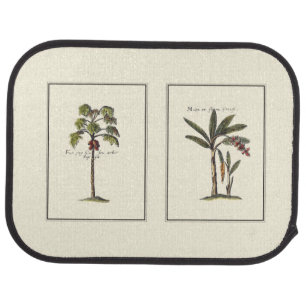 Two Miniature Framed Palm Trees Car Mat
