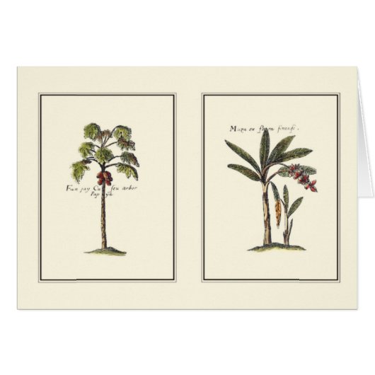 Two Miniature Framed Palm Trees Cards (Front Horizontal)