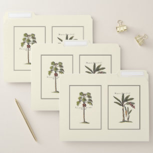 Two Miniature Framed Palm Trees File Folder