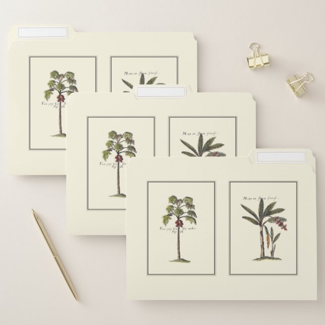 Two Miniature Framed Palm Trees File Folder (Set)