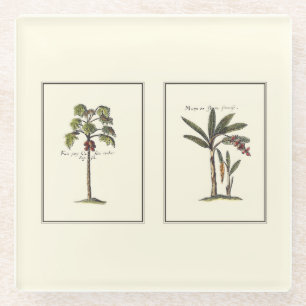 Two Miniature Framed Palm Trees Glass Coaster