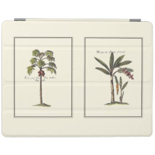 Two Miniature Framed Palm Trees iPad Smart Cover