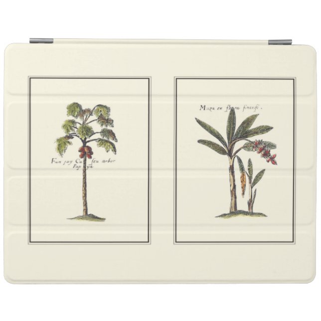 Two Miniature Framed Palm Trees iPad Smart Cover (Horizontal)