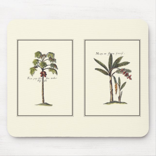 Two Miniature Framed Palm Trees Mouse Pad (Front)