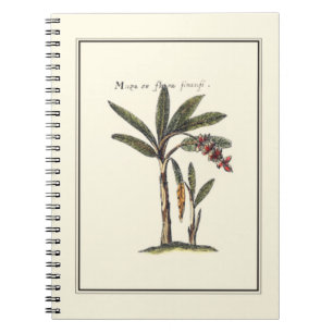 Two Miniature Framed Palm Trees Notebook