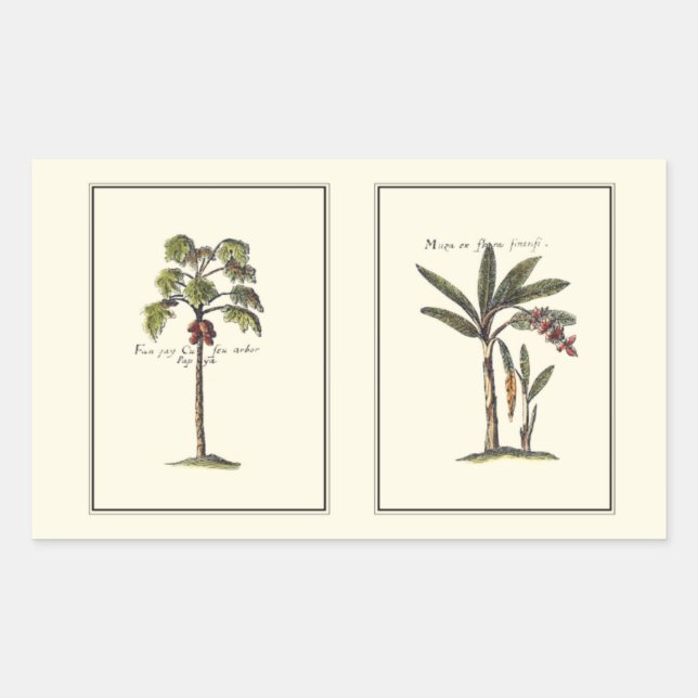 Two Miniature Framed Palm Trees Rectangular Sticker (Front)