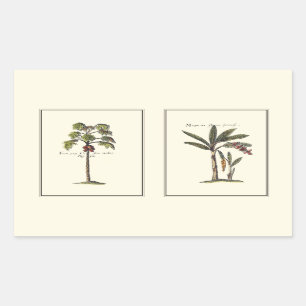 Two Miniature Framed Palm Trees Rectangular Sticker