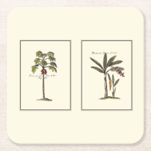 Two Miniature Framed Palm Trees Square Paper Coaster