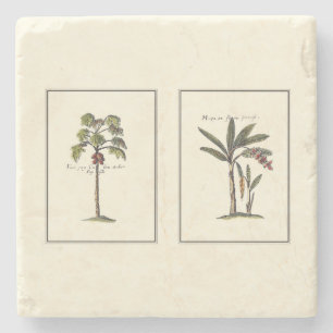 Two Miniature Framed Palm Trees Stone Coaster