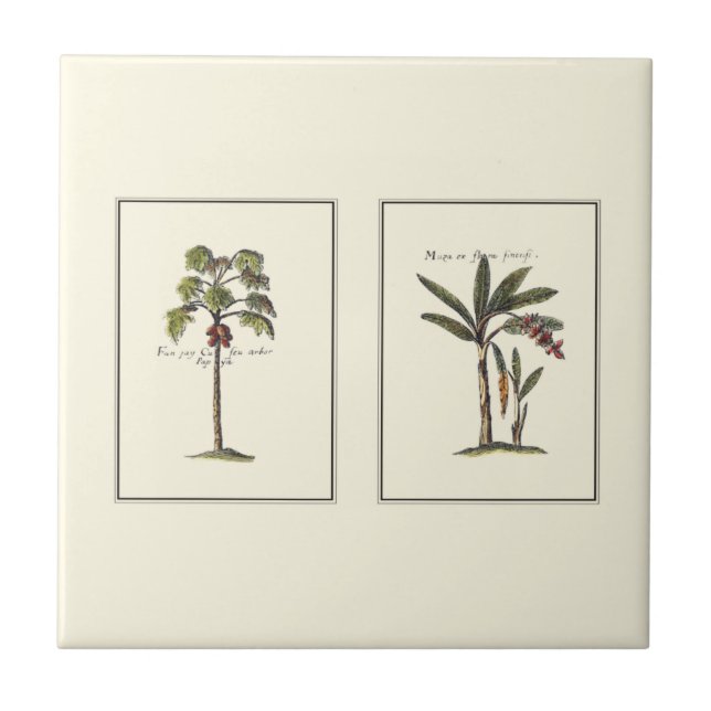 Two Miniature Framed Palm Trees Tile (Front)