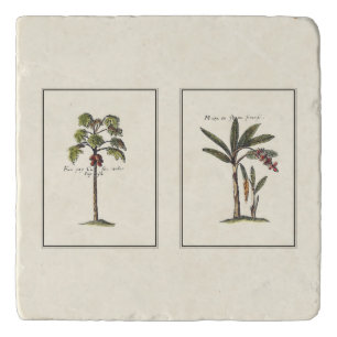 Two Miniature Framed Palm Trees Trivet