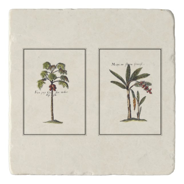 Two Miniature Framed Palm Trees Trivet (Front)