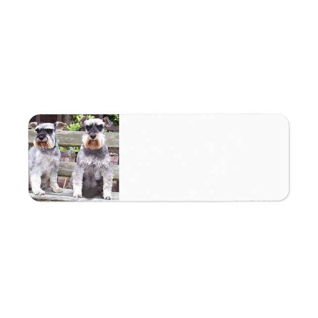 Two_miniature_schnauzers Label (Front)