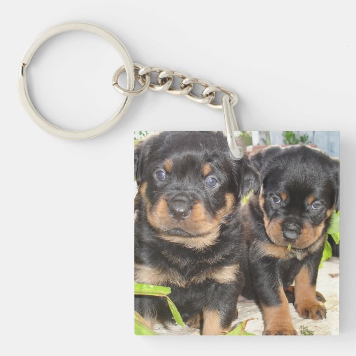 Two Mischievious Rottweiler Puppies Key Chains