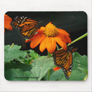Two Monarchs Mouse Pad