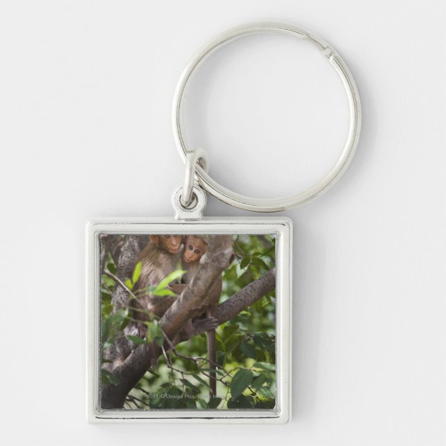 Two Monkeys In A Tree Keychain (Front)
