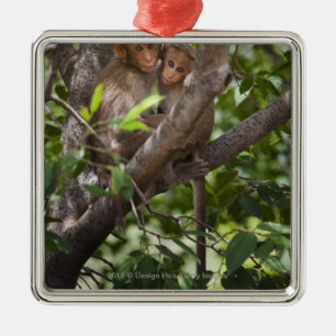 Two Monkeys In A Tree Metal Ornament