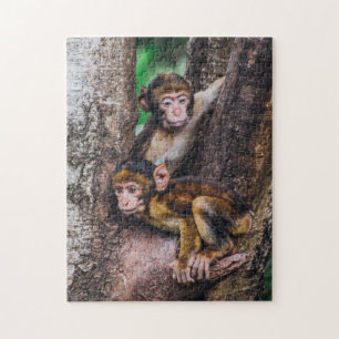 Two Monkeys in Tree Monkey Forest Jigsaw Puzzle