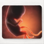 Two Month Old Fetus Mouse Pad at Zazzle