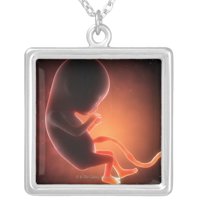 Two Month Old Fetus Silver Plated Necklace (Front)