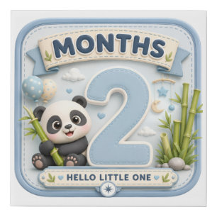 Two Months of Wonder – 2 Month Baby Milestone Faux Canvas Print