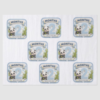Two Months of Wonder Tissue Paper
