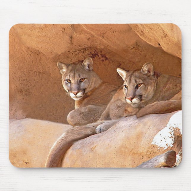 Two mountain lions mousepad (Front)