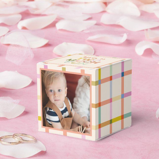 Two Much Fun 2nd Birthday Photo Custom  Favor Boxes (Wedding)