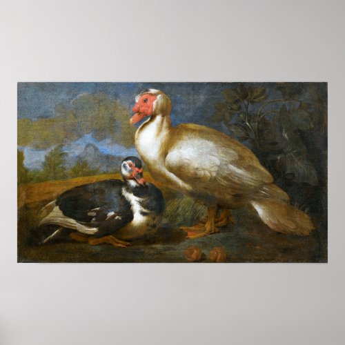 Two Muscovy Ducks in a Landscape Poster