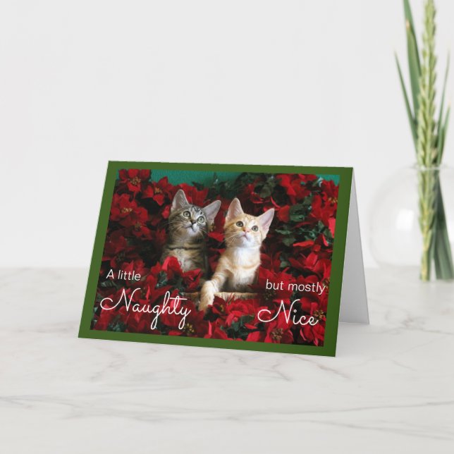 Two Naughty and Nice Kittens in Poinsettias Holiday Card (Front)