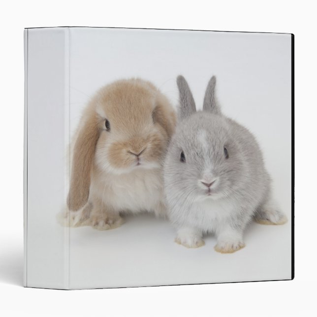 Two Netherland Dwarf and Holland Lop Bunnies Binder (Front/Spine)