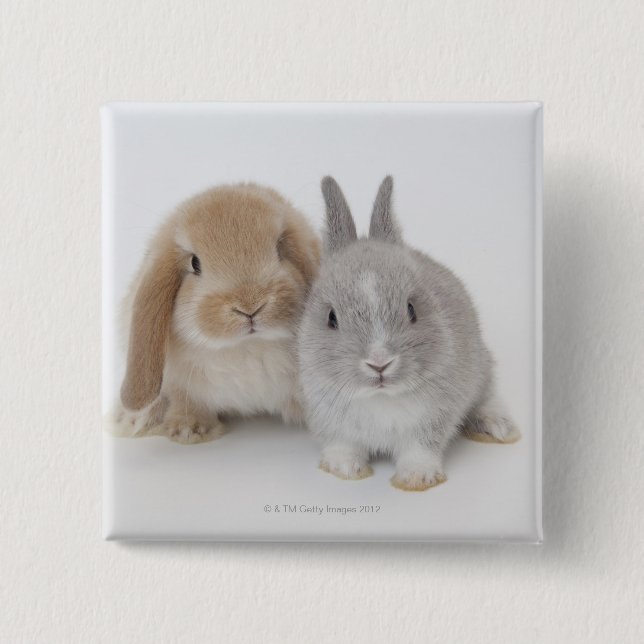 Two Netherland Dwarf and Holland Lop bunnies Button (Front)