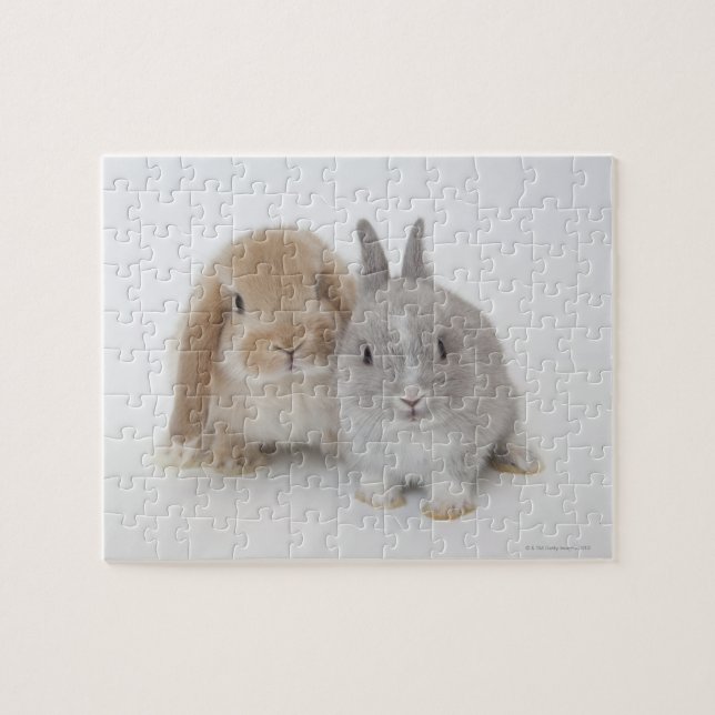 Two Netherland Dwarf and Holland Lop Bunnies Jigsaw Puzzle (Horizontal)