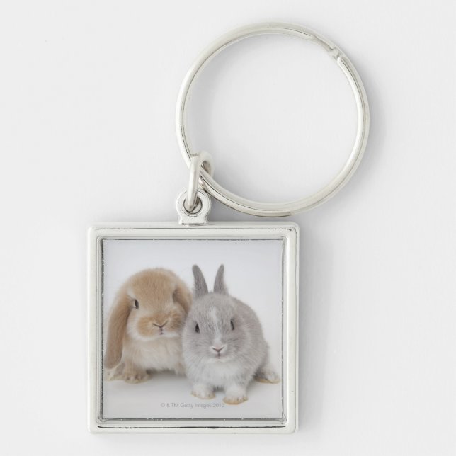 Two Netherland Dwarf and Holland Lop bunnies Keychain (Front)