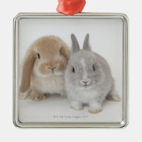 Two Netherland Dwarf and Holland Lop Bunnies Metal Ornament