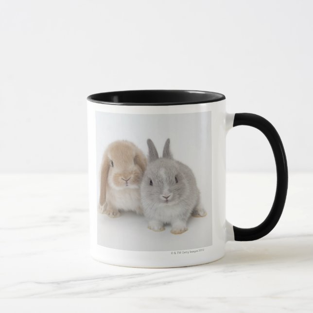 Two Netherland Dwarf and Holland Lop Bunnies Mug (Right)