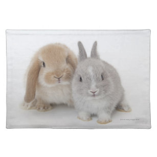 Two Netherland Dwarf and Holland Lop bunnies Placemat