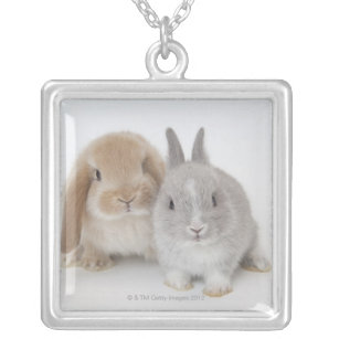 Two Netherland Dwarf and Holland Lop bunnies Silver Plated Necklace