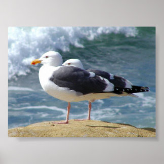 TWO OCEAN SEAGULLS WAVES ROCK BEACH PHOTOGRAPHY BI POSTER