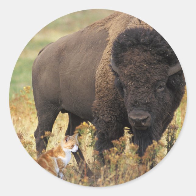 Two of a Kind Classic Round Sticker (Front)