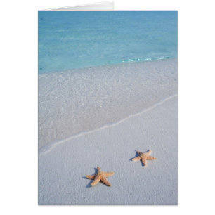 Two of Us Ocean Love Starfish Cards