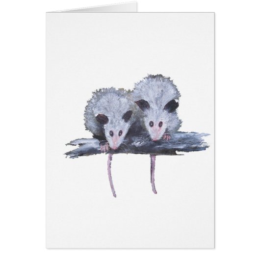 "Two Opossums" Vertical Postcard (Front)