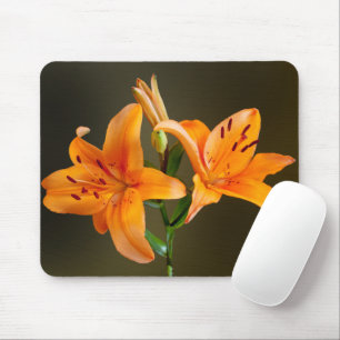 Two Orange Tiger Lillies and Buds Photograph Mouse Pad