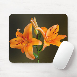 Two Orange Tiger Lillies and Buds Photograph Mouse Pad